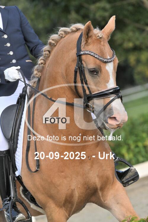 250920 0413