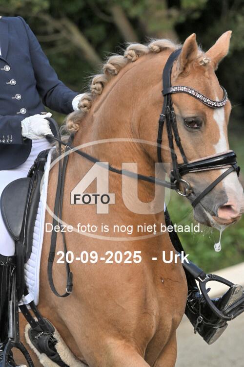 250920 0414