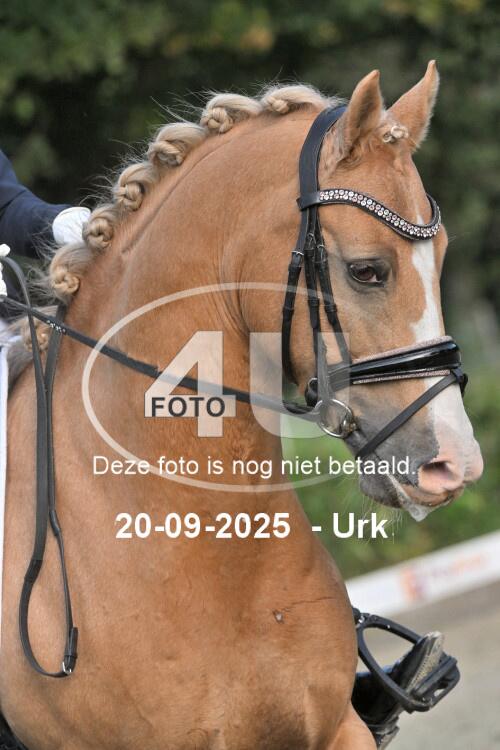 250920 0415