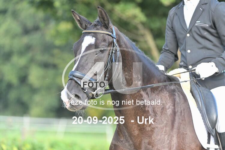 250920 0461