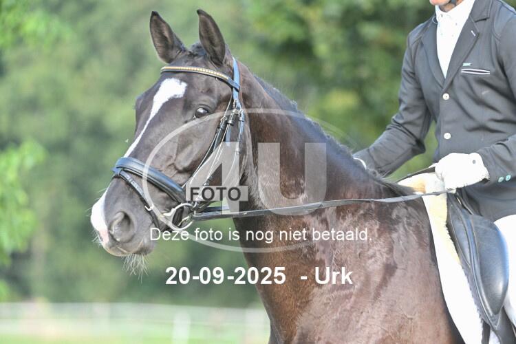 250920 0462