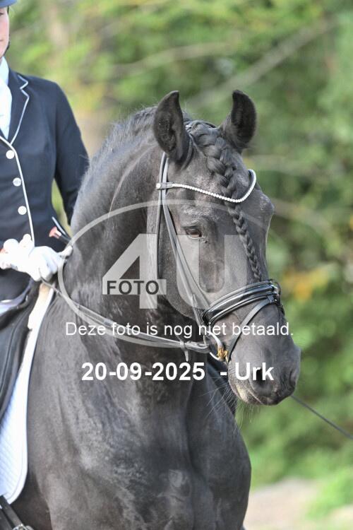 250920 0484