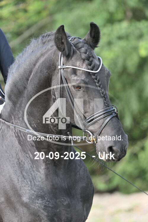 250920 0485