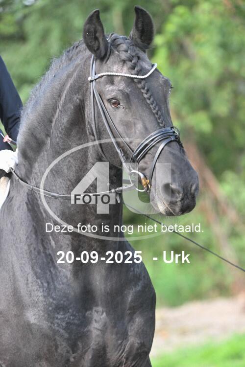 250920 0486