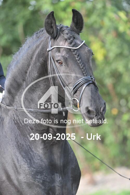 250920 0487