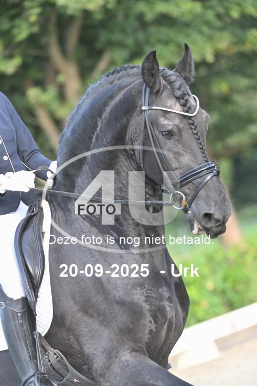 250920 0523
