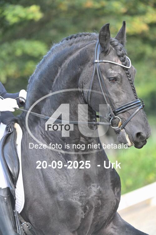 250920 0524