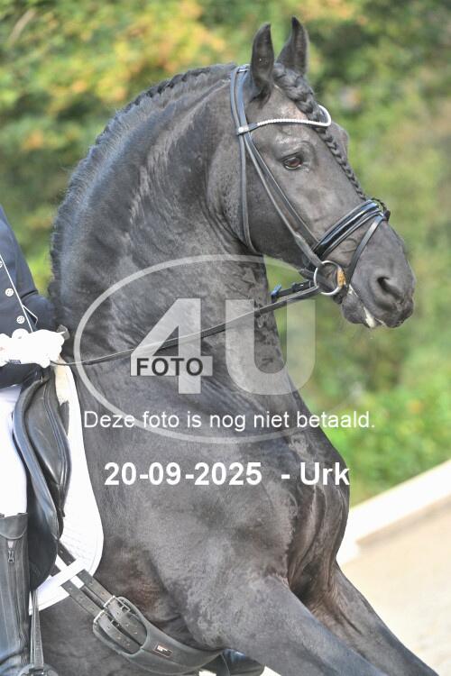 250920 0528