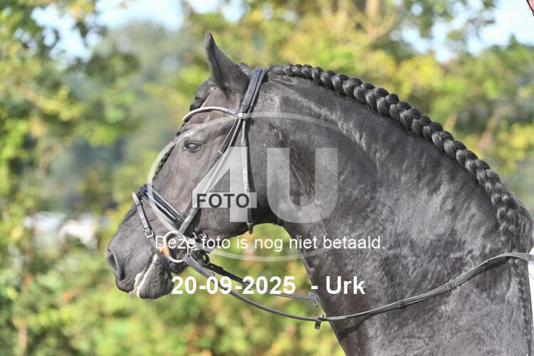 250920 0554