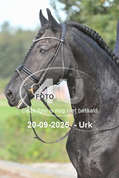 250920 0557