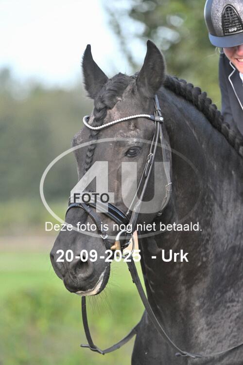 250920 0558