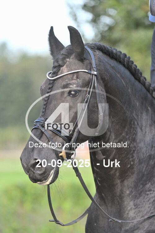 250920 0559