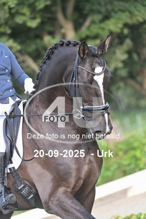 250920 0589