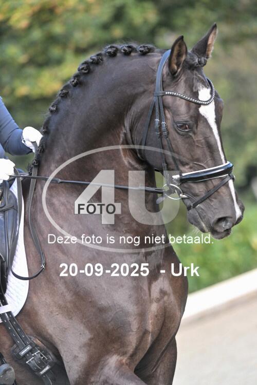 250920 0591
