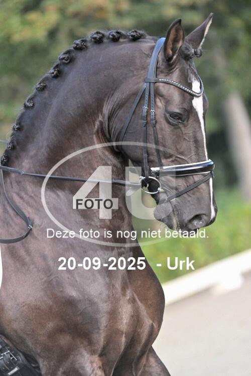250920 0592