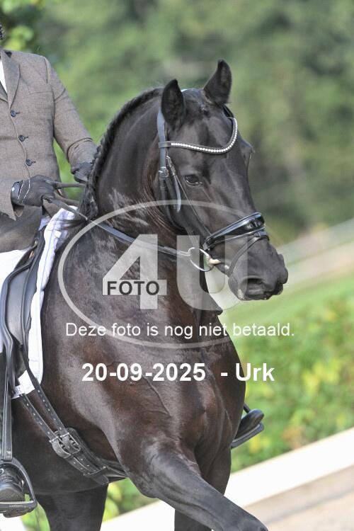 250920 0663