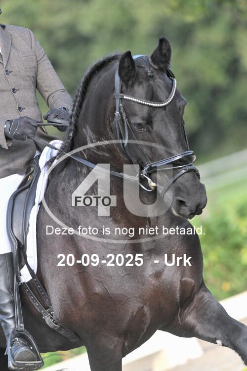 250920 0664
