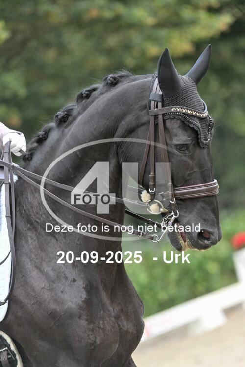 250920 0777