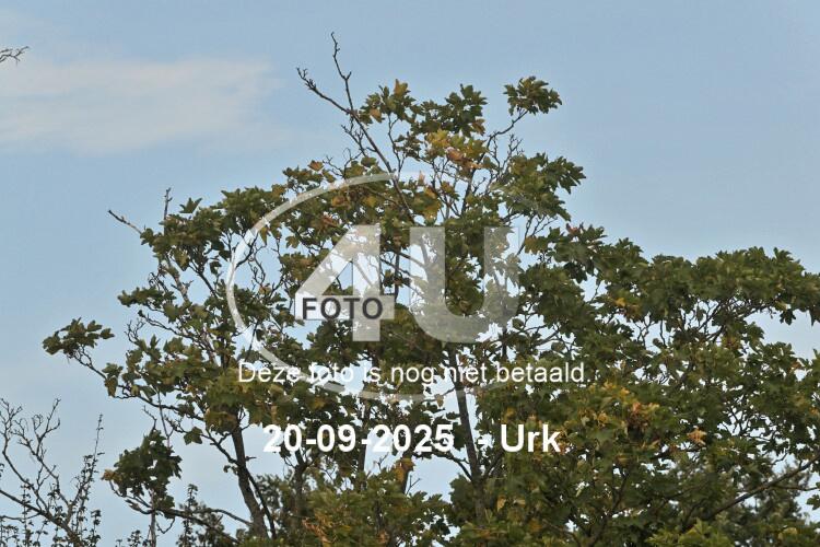 250920 0814
