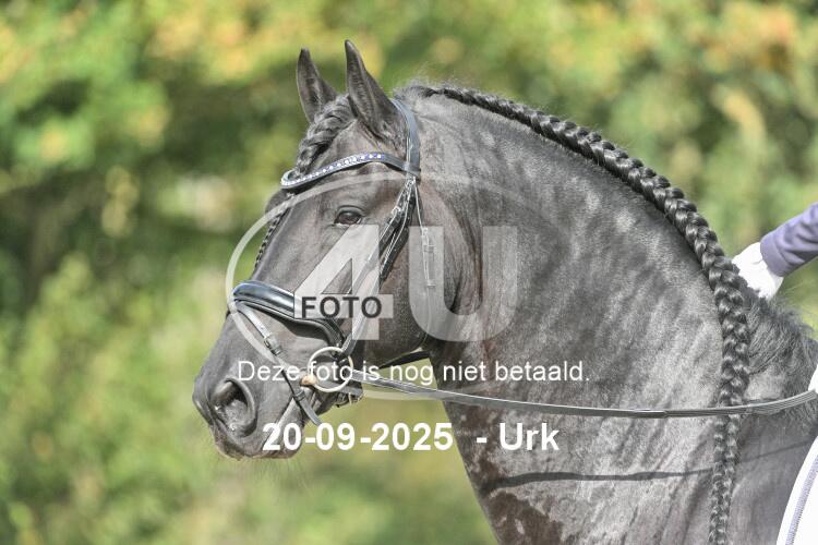 250920 0951