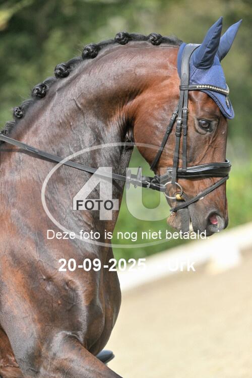 250920 0981