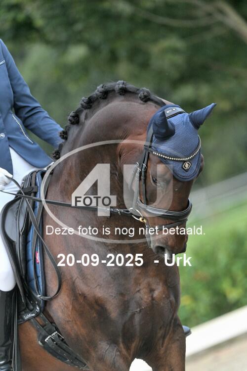 250920 0995