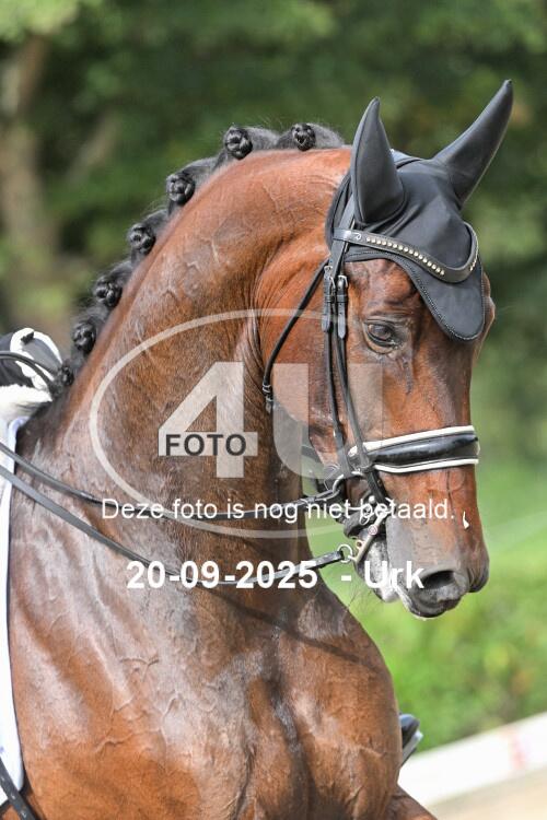 250920 1211