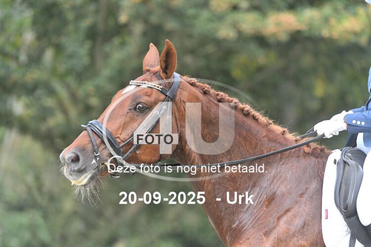 250920 1339