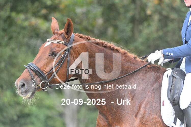 250920 1340