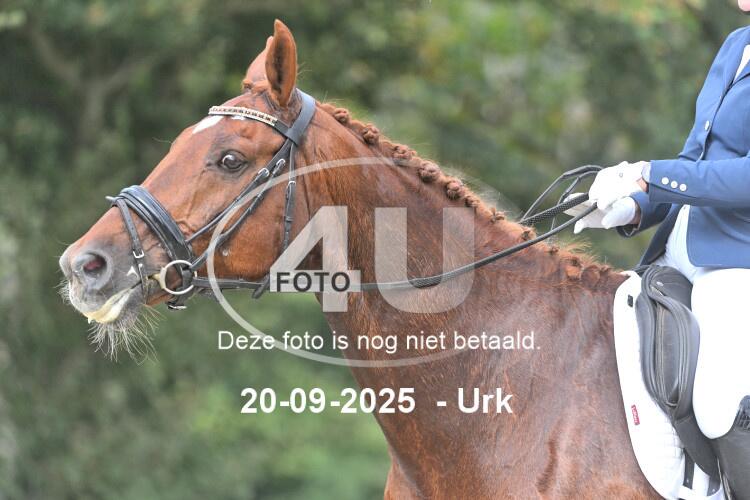 250920 1341