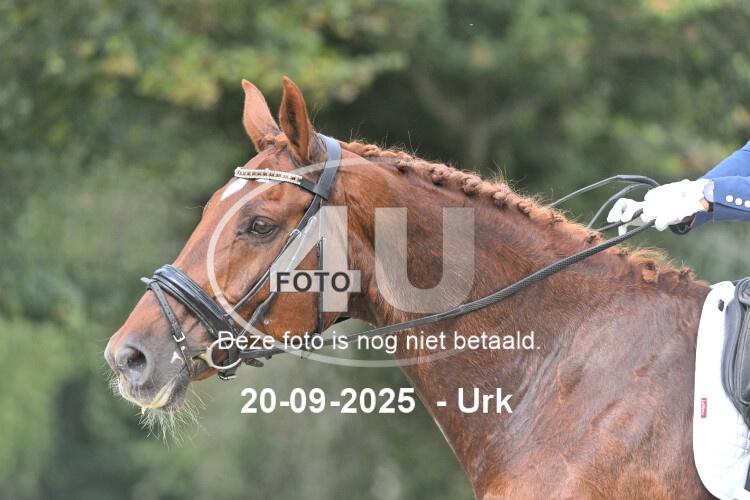 250920 1342