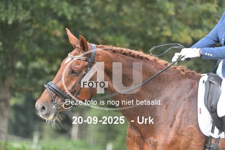 250920 1343