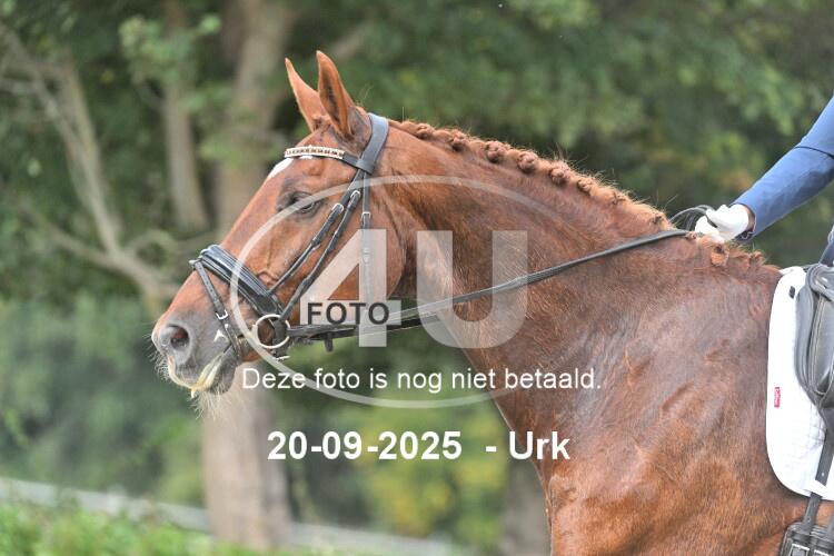 250920 1344