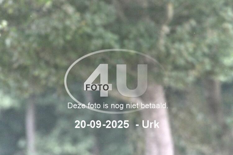 250920 1378
