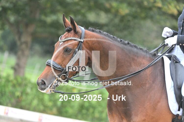 250920 1462