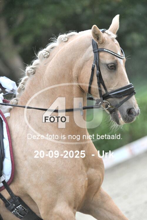 250920 1610