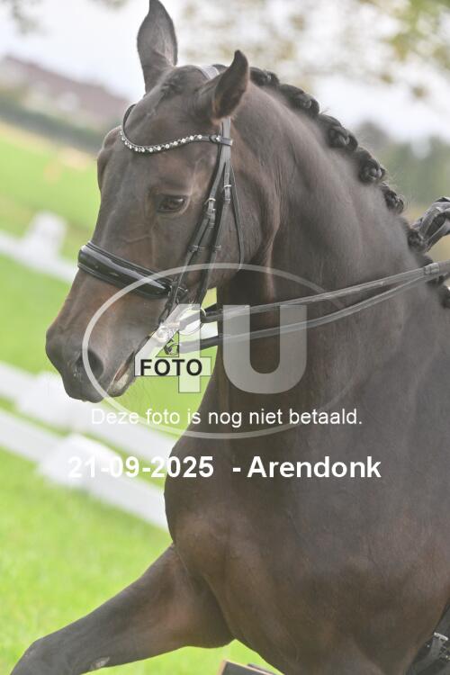 250921 0342
