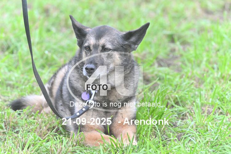 250921 1380