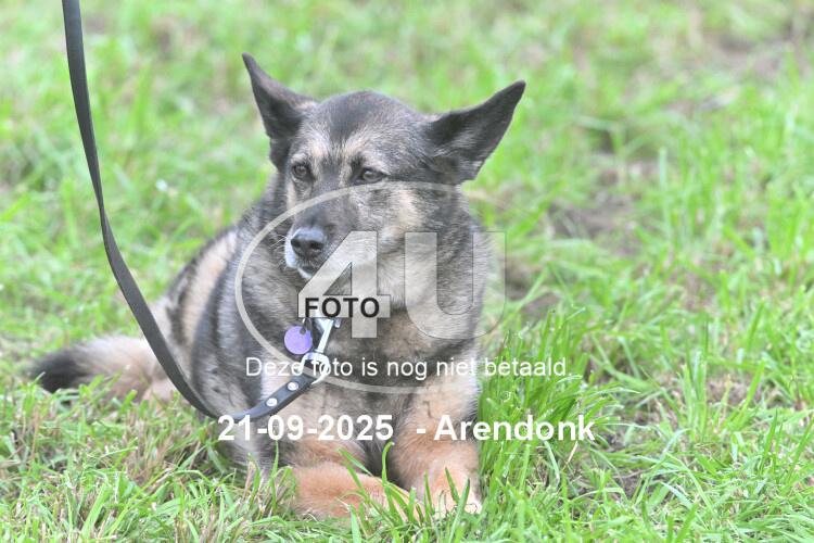 250921 1381