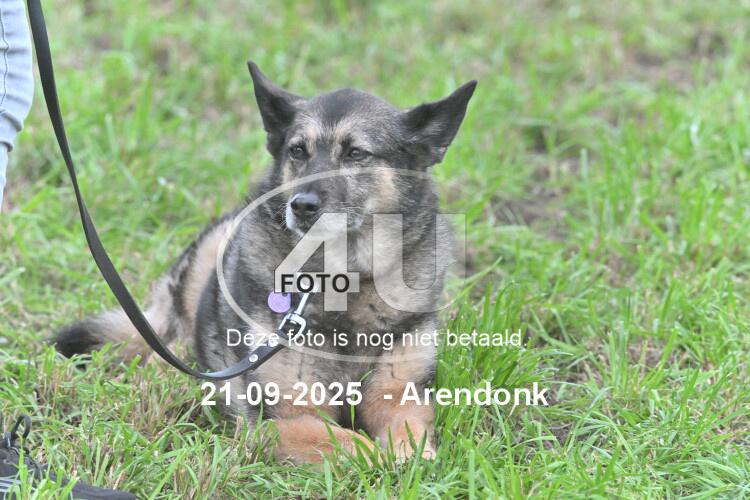 250921 1382