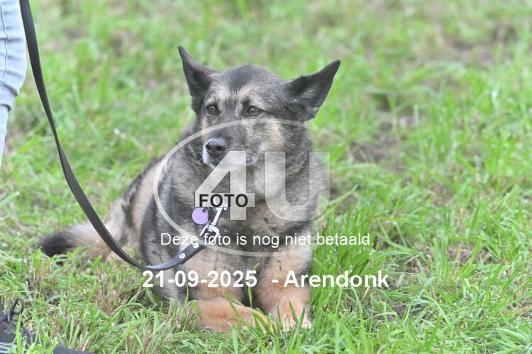 250921 1383