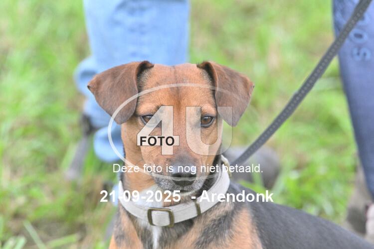 250921 1452