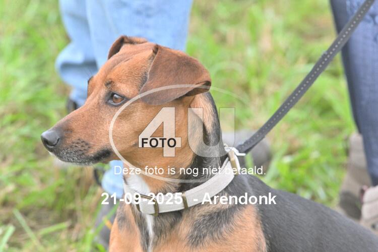 250921 1454