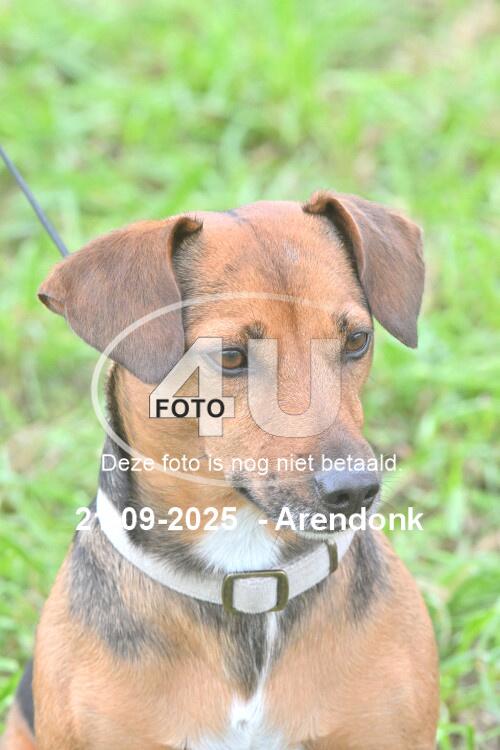 250921 1478