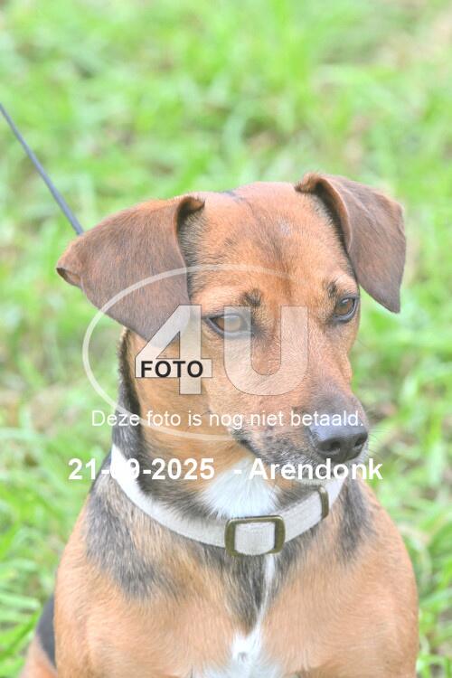 250921 1480