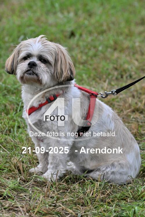 250921 2955