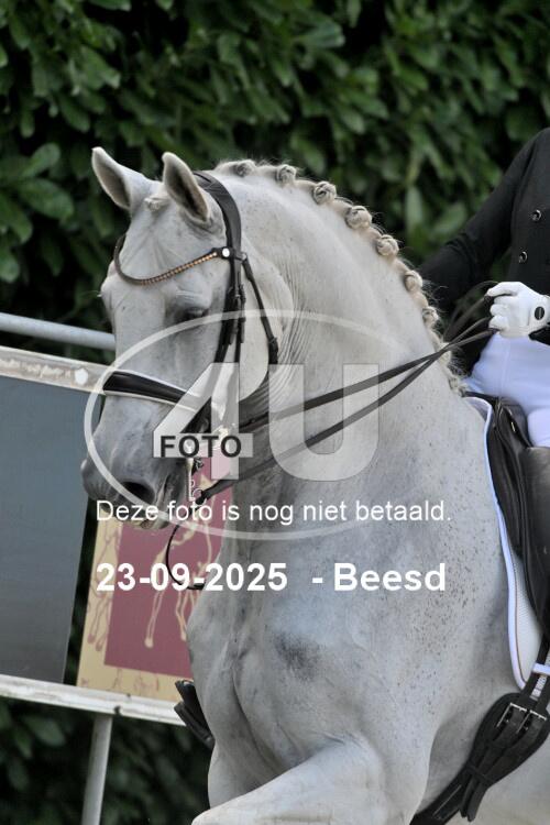 250923 1181