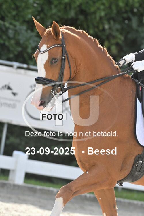 250923 1815