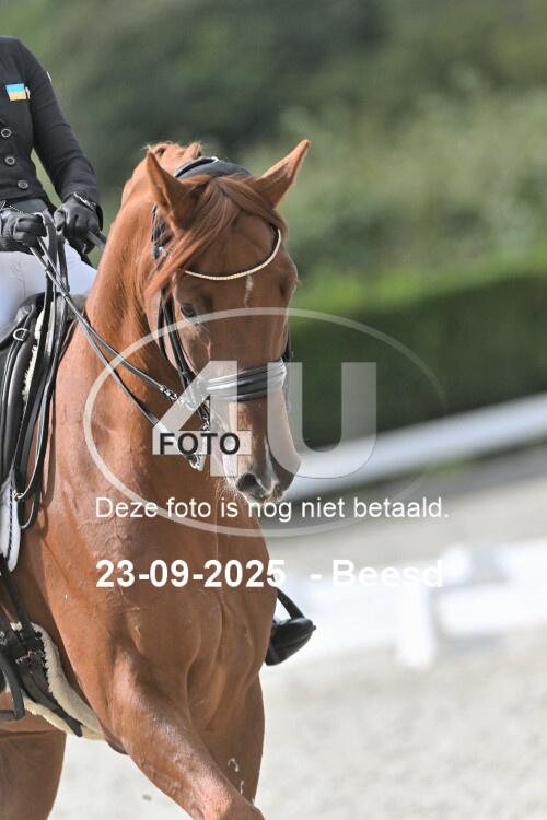 250923 1869