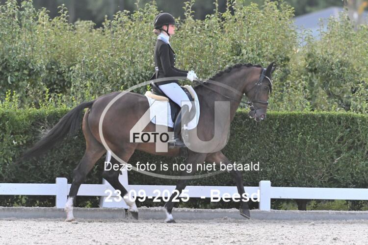 250923 2005